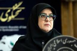 سخنگوی دولت: ناچار به تعطیلی هستیم
