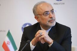 پیشنهاد صالحی برای مذاکره ایران و آمریکا: تغییر «عنوان» مذاکره به «ایران نباید سلاح هسته‌ای داشته باشد» 