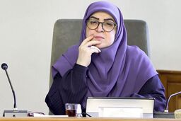 لایحه منع خشونت علیه زنان در مسیر استرداد است