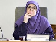 مهاجرانی: دیدار رئیس‌جمهور با رهبر انقلاب، نشان استمرار ارتباط مبتنی بر اعتماد و حمایت است