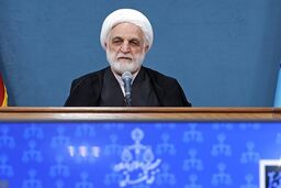 از سرمایه‌گذار و تولیدکننده‌ای که به سبب نوسانات بازار زمین خورده باید حمایت کنیم
