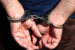 شرور خیابان دماوند دستگیر شد 