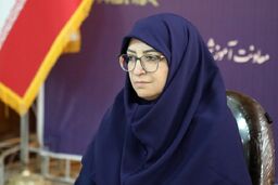 انصاری: حق‌آبه تالاب هامون را با دیپلماسی پیگیریم