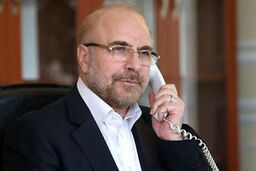 مجلس آماده توسعه همکاری‌های پارلمانی ایران و عراق