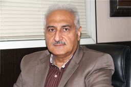 قیمت گوجه فرنگی کاهش یافت