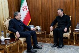 دیدار سفیر ایران در گرجستان با وزیر امور خارجه

