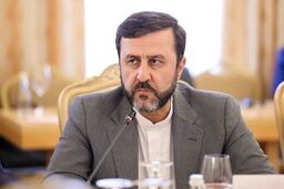 غریب‌آبادی: سران شانگهای با برداشت گزینشی از قطعنامه ۲۲۳۱ مخالفت کردند