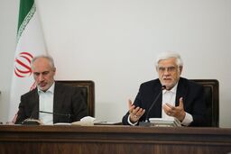 عارف: دولت در دام حواشی نیفتاده است
