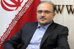 نماینده مجلس: باید دولت را کوچک کنیم و اقتصاد را به مردم بسپاریم