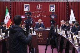 مدنی‌زاده: حذف اصناف سنتی قابل قبول نیست+فیلم
