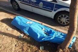 جان‌باختن عابر هنگام عقب‌رفتن در مواجهه با سگ