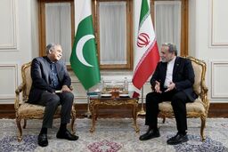 دیدار و رایزنی وزیر کشور پاکستان با وزیر امور خارجه ایران