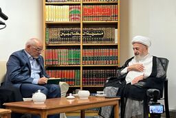 آیت‌الله سبحانی: همه باید پشتیبان مذاکرات باشیم و نتیجه را ملاک قرار دهیم