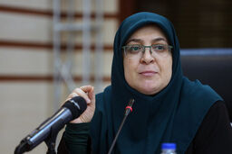 اما و اگرهای امنیتی برای فستیوال کوچه؛ مهاجرانی: مجوز ارشاد صادر شده، اما اماکن هنوز پاسخ نداده است