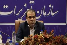 گزارش عملکرد دستگاه‌های نظارتی در رسیدگی به تخلفات بازار
