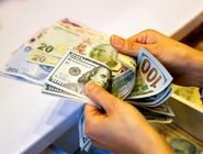 آخرین قیمت دلار و یورو؛ امروز سه‌شنبه 6 مرداد 1405