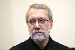 لاریجانی: با بسط همکاری میان ایران و کشور‌های منطقه موافقیم