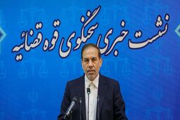 جهانگیر: بانک اطلاعاتی متهمان پر تکرار راه‌اندازی شد
