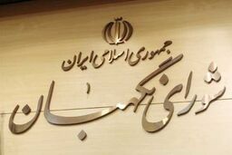 شورای نگهبان طرح «تشدید مجازات جاسوسی» را تایید کرد 