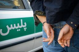 کشف ۹.۷۵ کیلوگرم شیره تریاک در عملیات هوشمند پلیس اردبیل