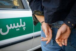 کشف بیش از دو میلیارد تومان کالای قاچاق در اردبیل
