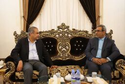 وزیر کشور پاکستان برای زیارت امام رضا(ع) به مشهد سفر کرد  