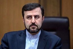 شبکه «ایکس» تیک آبی معاون وزیر خارجه را هم حذف کرد