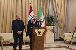 لاریجانی: حزب‌الله و جریان مقاومت نیازمند قیم‌ نیستند