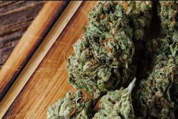 هشدار جدید محققان: مصرف ماریجوانا می‌تواند احتمال ارتکاب خشونت را دو برابر بیشتر کند
