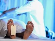 آخرین آمار از تلفات زلزله ونزوئلا