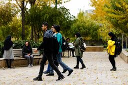 دانشگاه، نهادسازی و مسئولیت اجتماعی دانش‌آموختگان
