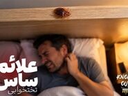 علائم ساس در منزل کدامند؟ (راهنمای متخصصان شرکت سمپاشی ساس ناک اوت)