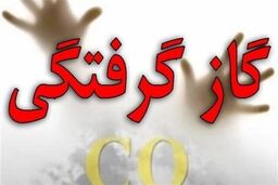 مسمومیت ۴۶ نفر با گاز مونوکسید کربن در شهرک صنعتی گنبد همدان
